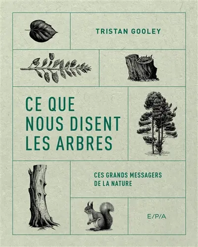 Ce que nous disent les arbres : ces grands messagers de la nature