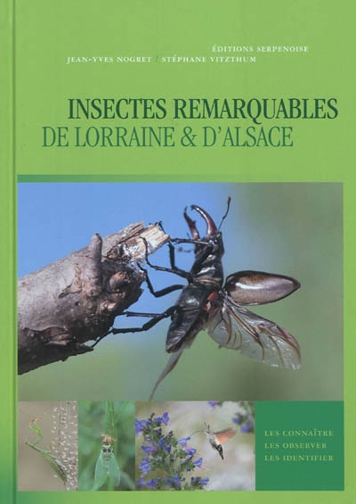Insectes remarquables de Lorraine & d'Alsace : les connaître, les observer, les identifier
