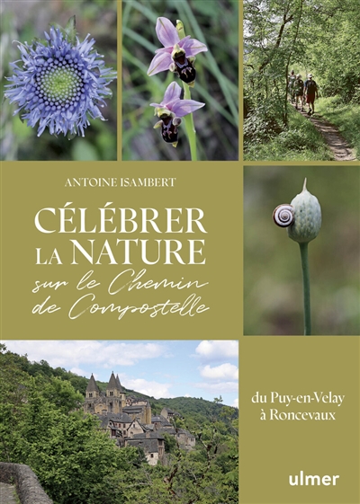 Célébrer la nature sur le chemin de Compostelle : explorations botaniques du Puy-en-Velay à Roncevaux