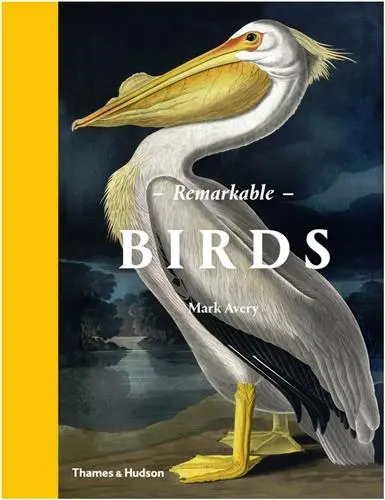Remarkable Birds (Hardback)