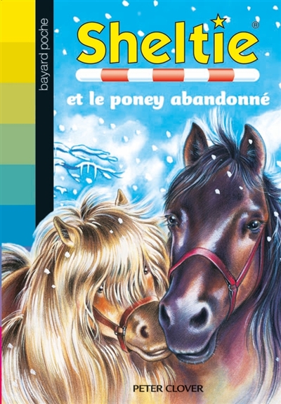 sheltie et le poney abandonné