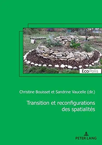 Transition et reconfigurations des spatialités