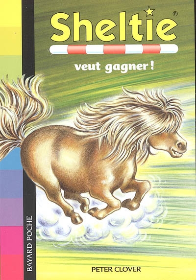 sheltie veut gagner !