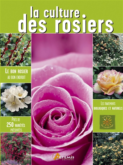 La culture des rosiers