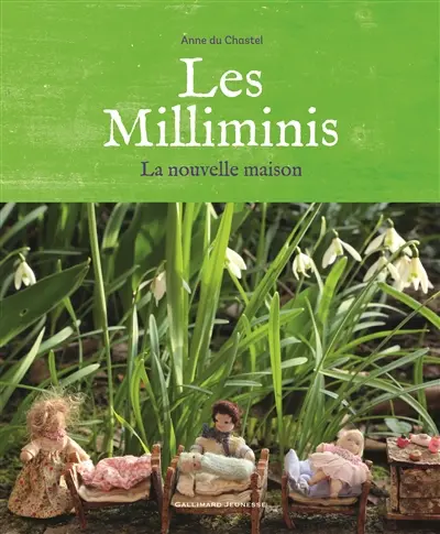 Les milliminis : la nouvelle maison
