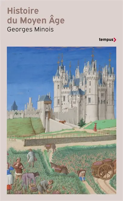 Histoire du Moyen Age : mille ans de splendeurs et misères