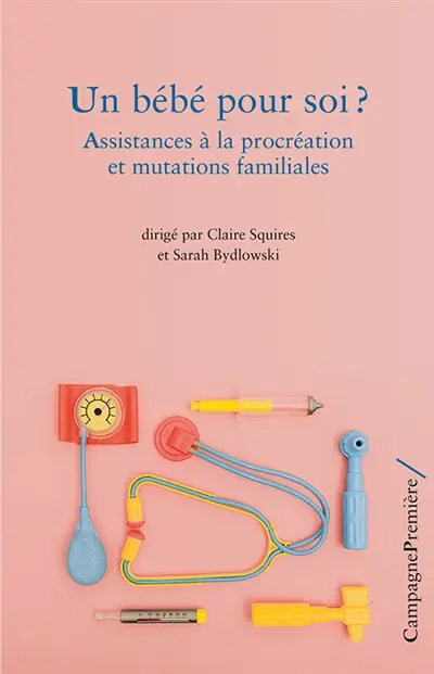 Un bébé pour soi ? : assistances à la procréation et mutations familiales