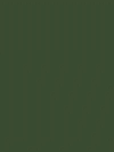 Propositions chorégraphiques : été 17-19