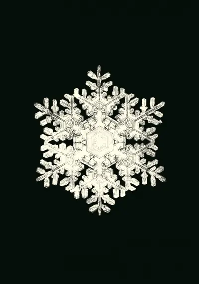 Flocons de neige : carnet
