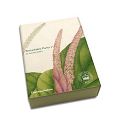 Remarkable Plants 20 Notecards