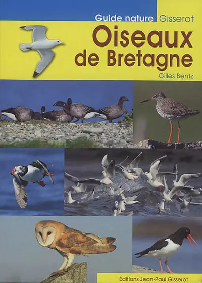 Oiseaux de Bretagne