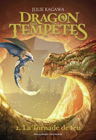 Dragon des tempêtes. Vol....