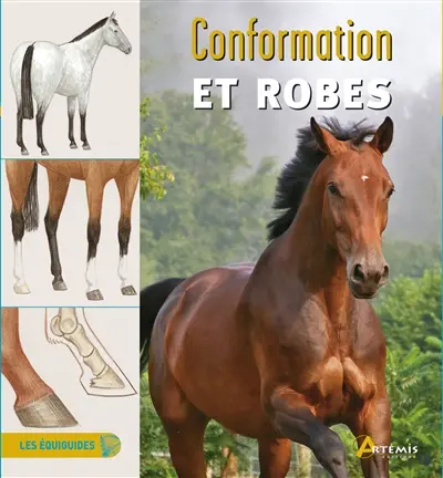 Conformation et robes