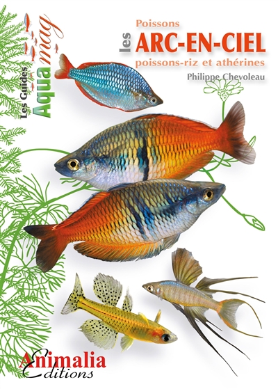 Les poissons arc-en-ciel : poissons-riz et athérines