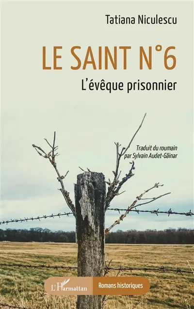 Le saint n°6 : l'évêque prisonnier