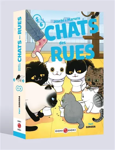Hachi et Maruru : chats des rues : volumes 5 et 6
