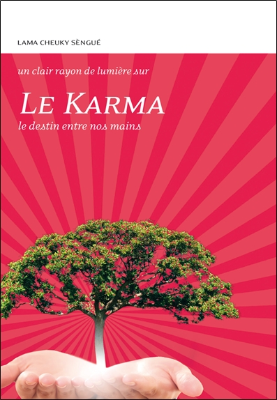 Le karma : le destin entre nos mains