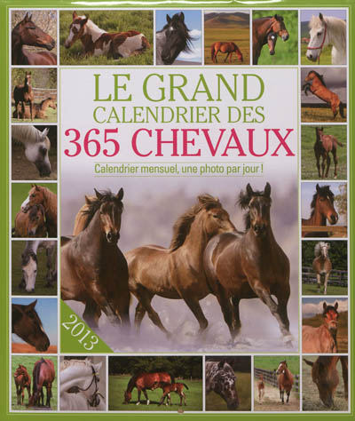 Le grand calendrier des 365 chevaux 2013 : calendrier mensuel, une photo par jour !