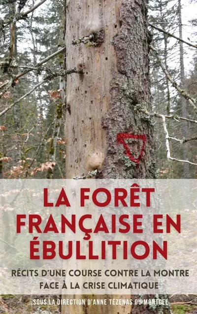 La Forêt française en ébullition : Récits d'une course contre la montre face à la crise climatique
