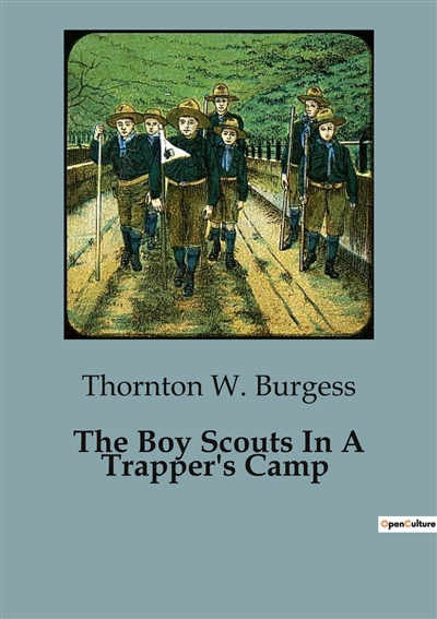 The Boy Scouts In A...