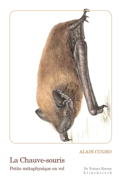 La chauve-souris : petite métaphysique en vol La chauve-souris : petite métaphysique en vol
