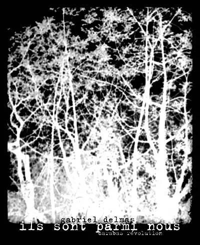 Ils sont parmi nous : apparitions, disparitions : poésie noire, fantômes sombres