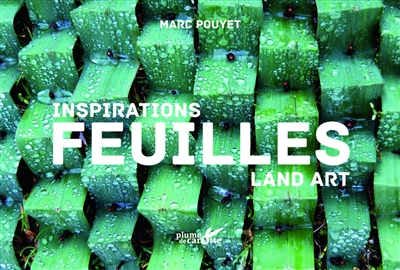 inspirations feuilles land art