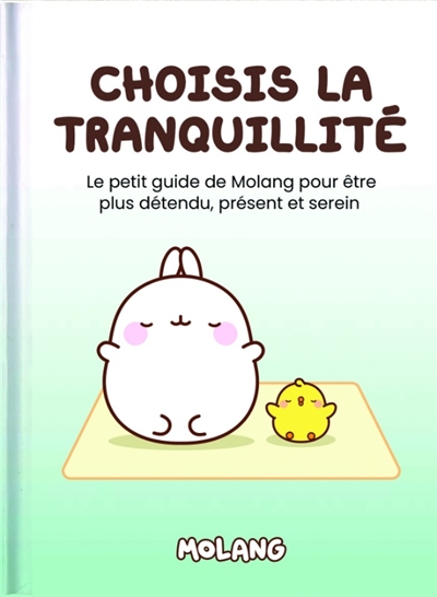 Choisis la  tranquillité :...
