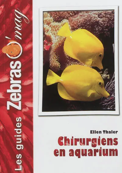 Poissons-chirurgiens en aquarium