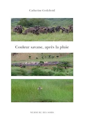 Couleur savane, après la pluie