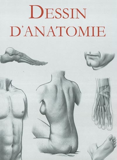 Dessin d'anatomie