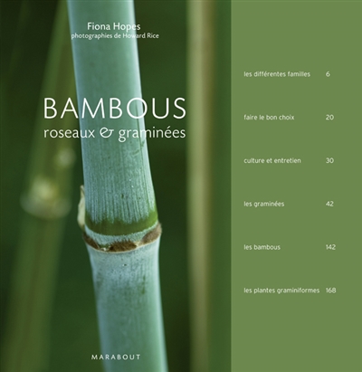 Bambous, roseaux & graminées