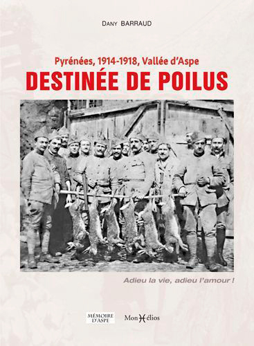 Destinée de poilus : Pyrénées, 1914-1918, vallée d'Aspe : adieu la vie, adieu l'amour !