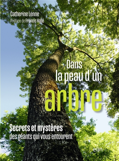 Dans la peau d'un arbre : secrets et mystères des géants qui vous entourent