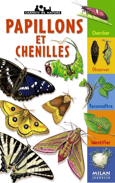 Papillons et chenilles