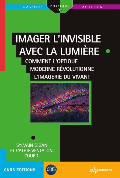 Imager l'invisible avec la lumière : comment l'optique moderne révolutionne l'imagerie du vivant
