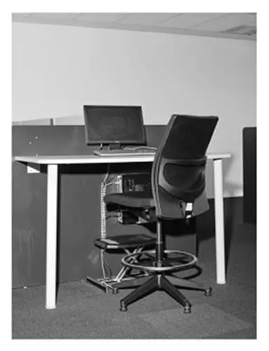 Edouard Jacquinet Marguerites