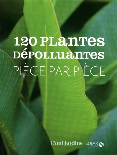 120 plantes dépolluantes : pièce par pièce