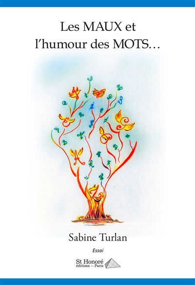 Les maux et l'humour des mots... : essai