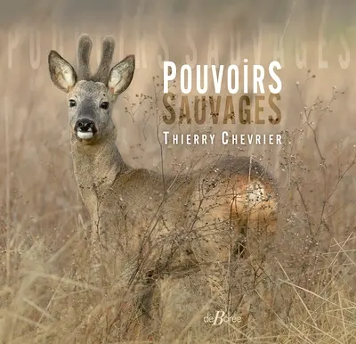 Pouvoirs sauvages