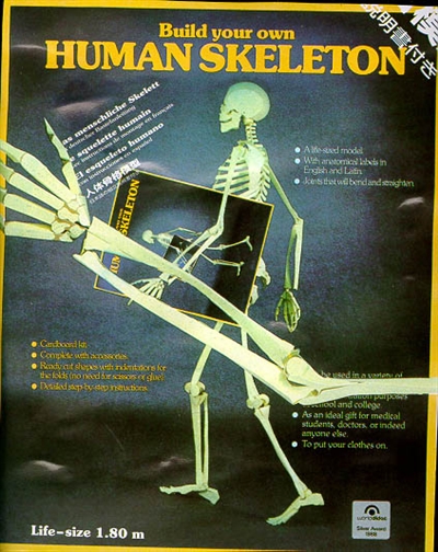 Build your own human skeleton