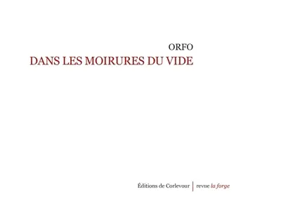 Dans les moirures du vide