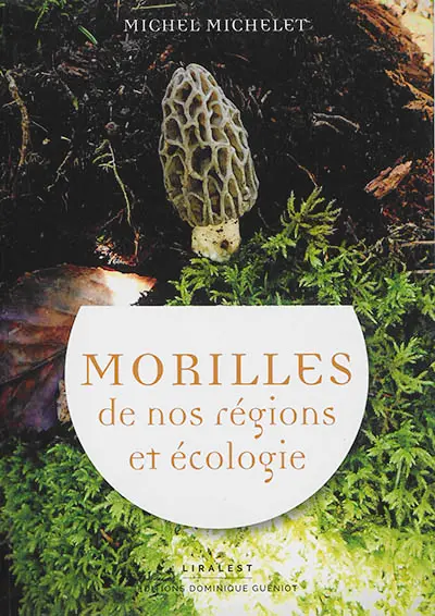 Morilles de nos régions et écologie