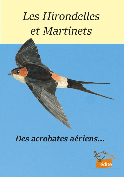 Les hirondelles et...