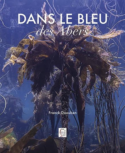 Dans le bleu des Abers