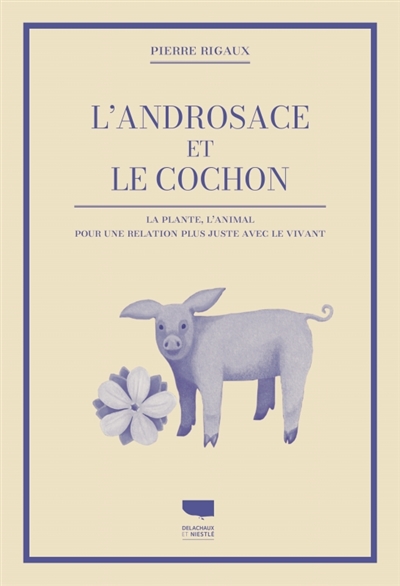 L'androsace et le cochon