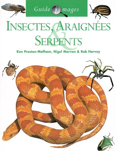 Insectes, araignées, serpents