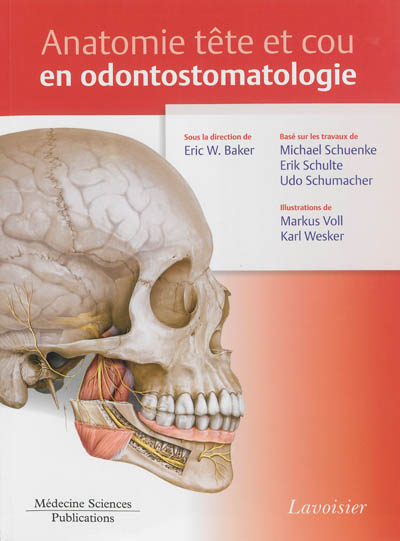 Anatomie tête et cou en odontostomatologie