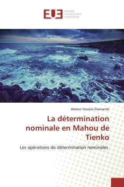 La détermination nominale...