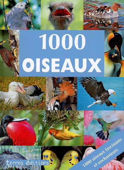 1000 oiseaux